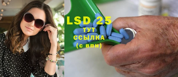 гашик Зуевка