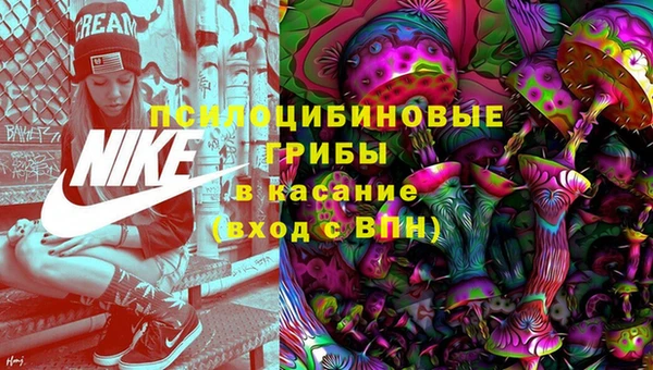 хмурый Армянск