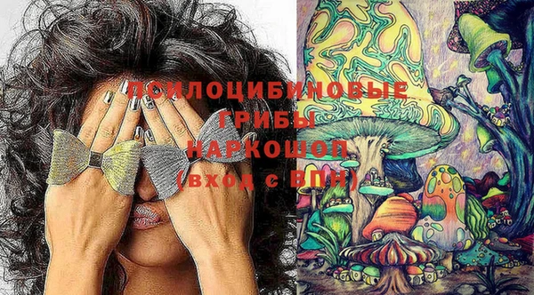 mdpv Арсеньев