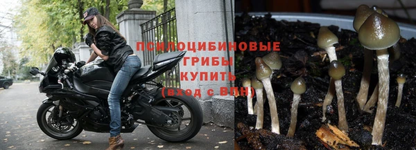 хмурый Армянск